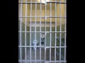 esta cancion soberano esta cabr@#$ soberano le envia una carta a su viejo a la prision