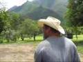 Los Canelos