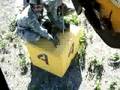 US Army Pathfinder Training
