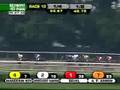 jockey-club-gold-cup