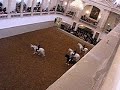 Lippizanar Horses at the Spanish Riding School