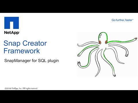 how to use snapmanager for sql