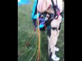 Martin geht paragleiten
