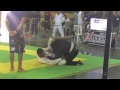 Video 14 - Breno GalvÃ£o 1â€¢ luta - 6â€¢ Copa TriÃ¢ngulo Mineiro