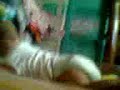 Click here to watch this video Video0032