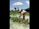Filipino 1 Group Presentation Video
