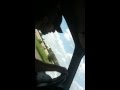 Shit my Co-Worker Sings | Still thinks LP and Jay-Z are awesome
