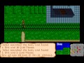 www.recordedamigagames.org played by ironclaw this game has many more places to explore and more quests to do, but enough is enough. whenever the character is twitching (while moving) it's because he's starving. the game has a nice ingame map system which you can call forth when you need to know where you are in the game by usnig a bird totem. for some reason it didn't work properly for me. all that happened was i got the white cross in the middle of the screen, but no map. maybe it was caused by some bad settings in the emulator or a broken version of the game, donno. at around 13:19 i removed the 
