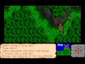 www.recordedamigagames.org played by ironclaw this game has many more places to explore and more quests to do, but enough is enough. whenever the character is twitching (while moving) it's because he's starving. the game has a nice ingame map system which you can call forth when you need to know where you are in the game by usnig a bird totem. for some reason it didn't work properly for me. all that happened was i got the white cross in the middle of the screen, but no map. maybe it was caused by some bad settings in the emulator or a broken version of the game, donno. at around 13:19 i removed the 