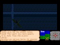 www.recordedamigagames.org played by ironclaw this game has many more places to explore and more quests to do, but enough is enough. whenever the character is twitching (while moving) it's because he's starving. the game has a nice ingame map system which you can call forth when you need to know where you are in the game by usnig a bird totem. for some reason it didn't work properly for me. all that happened was i got the white cross in the middle of the screen, but no map. maybe it was caused by some bad settings in the emulator or a broken version of the game, donno. at around 13:19 i removed the 