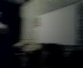 hallallrecords