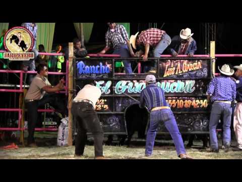 ¡¡QUE TORAZOS!! Rancho El Guamuchil En San Andres Tultepec Hidalgo 30 Noviembre 2013
