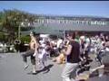 Pollyfilla Dances