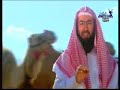 يحكي الشيخ في هذه الحلقة فتح خيبر وكيف فتحها وحصونها المنيعة حصنا بعد حصنا وشجلعه الصحابة الزبير وعلي رضي الله عنهم