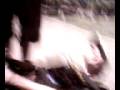videos de pinoquio precipicio ! (Astolfo Dutra )
