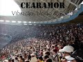 Steninho Da cearamor Steninho Da cearamor