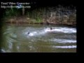 the rope swing