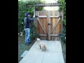 Outside; Good Boy!