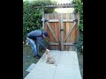 Outside; Good Boy!