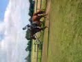 me and chesney just jumping in the field me and chesney just jumping in the field