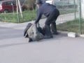 intre 2 mosi