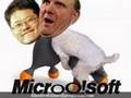 He Loves Another Company! Microhoo