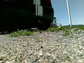 c2-1400-hybrid-gpl-benzina-con-inoxcar.html