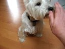 Oliver giving a high five