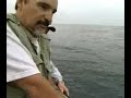 Fishing with Dan Hernadez with a crouded boat catching yellow tails using magic metal jigs reeling in fast right next to a kelp patty, using tiger rods with a fluger reel and spin cast reels, with 25 pound cajun red line.