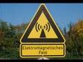 Fedtv 2008 May 05 Electropollution & Cell Phone Cancer
