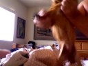 single_goldie.mov single_goldie.mov