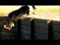 videos de Maggie Jumping through the Prelim Sunken Road at CTETA