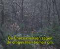 Bosbrand Maarn 2007