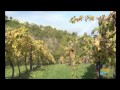 Click to View : 01 Introduzione Reti Impresa