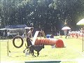 DVM 2008, 3. Lauf Coesfeld DVM 2008, 3. Lauf Coesfeld