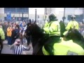 Newcastle fan fights horse after Sunderland game ...