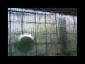 Typhoon Fengshen/Frank (Part 2)