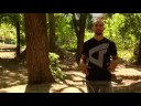 BMX Tricks : BMX: 360 Bunny Hop