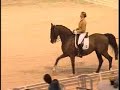Dressage-Anky & Salinero - clinic