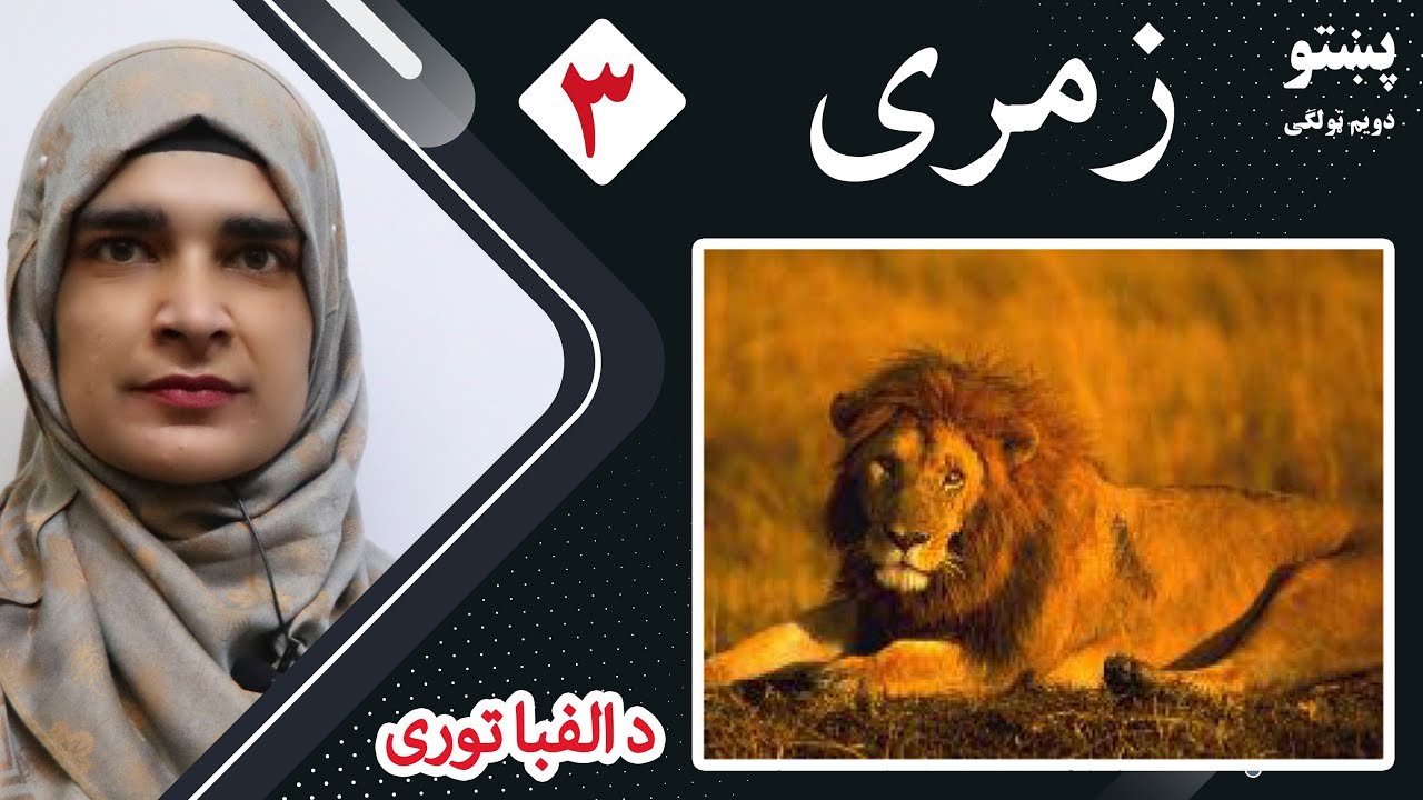 Class 2 _ Lesson 3 ( ALPHABET ) _ Pashto book / لوست ۳ (د الفبا توری) _ د پښتو کتاب _ دویم ټولګی