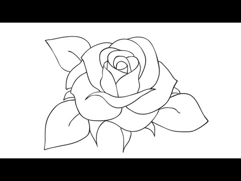 How to draw a rose – Easy step-by-step drawing lessons for kids