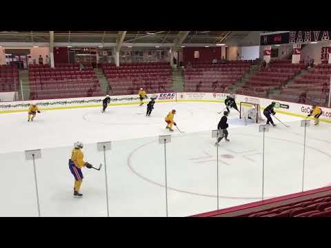 Harvard Camp 2022 #19 Yellow