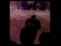 videos de finde