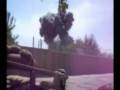 3 para