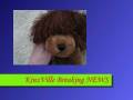 Greatest Time of Year Webkinz Seires Episode 2