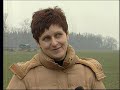 Fundacja Boksery w Potrzebie w Wydarzeniach / Polsat Fundacja Boksery w Potrzebie w Wydarzeniach / Polsat
