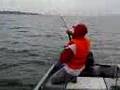 videos de Lubuk Tg. Buai