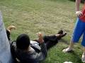 videos de MOV02156.MPG