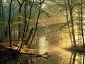 Música del Bosque II - Relajación y meditación