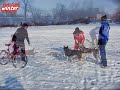 Click here to watch this video Sled Dogs-2.wmv